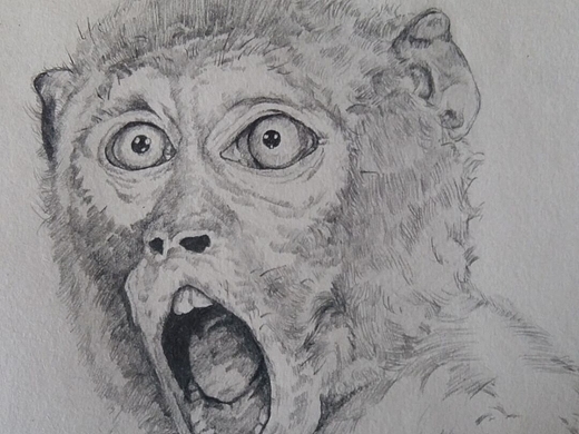 但许将来个人主页_廊坊学生-站酷zcool