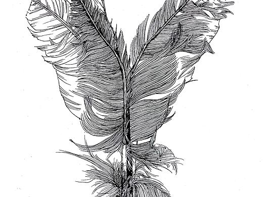 毽子