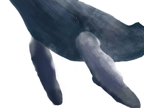 #插画#（个人主页-ZNTA2MzMwMzI=） - 儿童插画 - 站酷设计师可乐百合原创素材 - 站酷ZCOOL