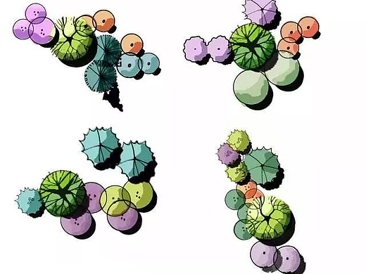 景观设计考研快题手绘/平面图手绘/植物配置组合形式
