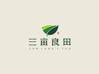 "三亩良田"LOGO设计飞机案例