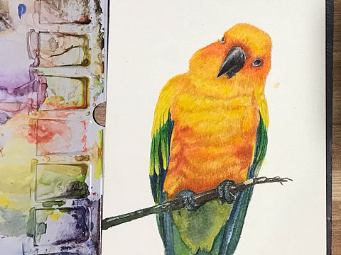 水彩《歪头杀》（个人主页-ZMzE5NTA2ODg=） - 创作习作 - 站酷设计师周多魚原创素材 - 站酷ZCOOL