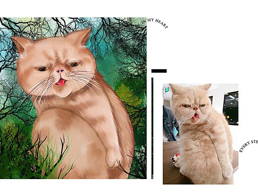 大头猫咪2