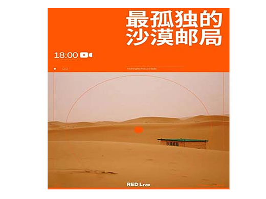 平面训练营-DAY7