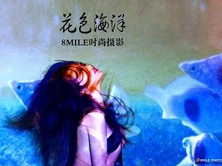 琉璃世界——花色海洋