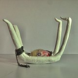 美蛙代子的头像