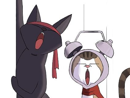 猫猫