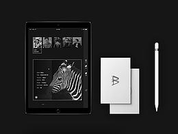 摄影题材网页排版/Photography theme page layout