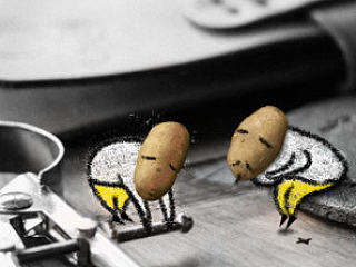 The death of Mr Potato