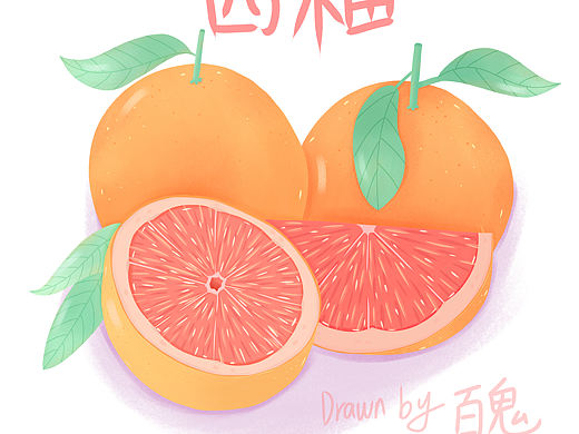 扁平风水果插画 西柚（个人主页-ZNTc3NTc0MjQ=） - 创作习作 - 站酷设计师爱画画的百鬼原创素材 - 站酷ZCOOL