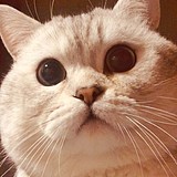 Erweckung的头像