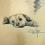 coco瑾瑾的头像