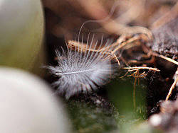 【数码】微观世界