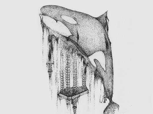 发展-流逝
