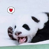 JulianaXXX的头像