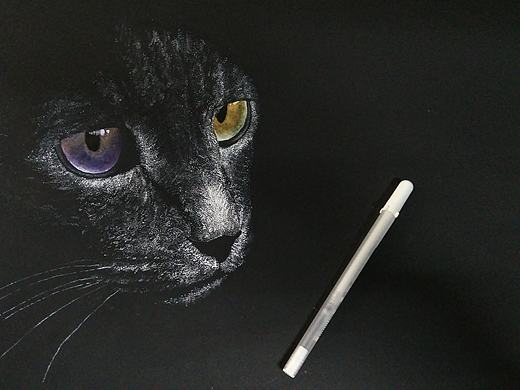 点绘猫