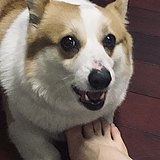 摄影师宣强的头像