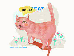 cat one（個人主頁-ZMzMzMjQ4） - 創(chuàng)作習作 - 站酷設計師頭套貓的飯勺原創(chuàng)素材 - 站酷ZCOOL