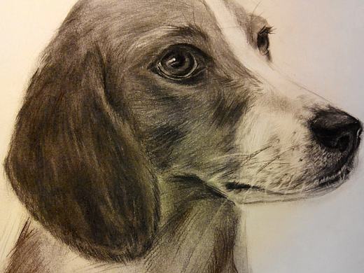 黑白（个人主页-ZMzE1MDY0NDA=） - 绘画 - 站酷设计师沫羽清原创素材 - 站酷ZCOOL