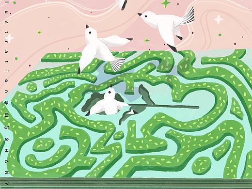 夏天画的那些画