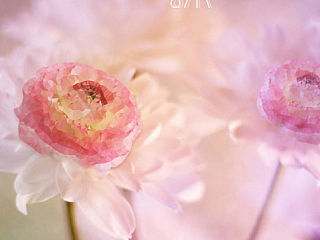 The flower
