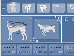獸用pacs 系統(tǒng)界面設(shè)計