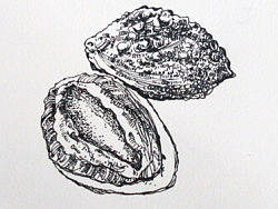 杂志《美人が行く大連》 部分插图（个人主页-ZMjkyNjE2OA==） - 商业插画 - 站酷设计师崔崔_MAY原创素材 - 站酷ZCOOL