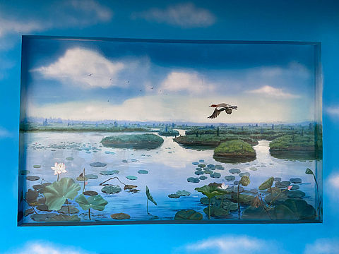 湖北孝感朱湖国家湿地公园-知行彩绘