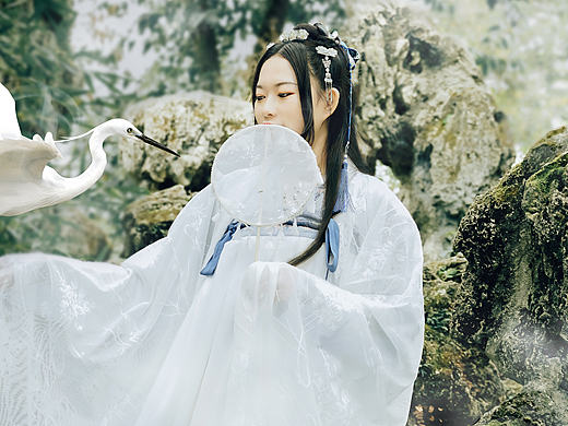 摄影创作《白》