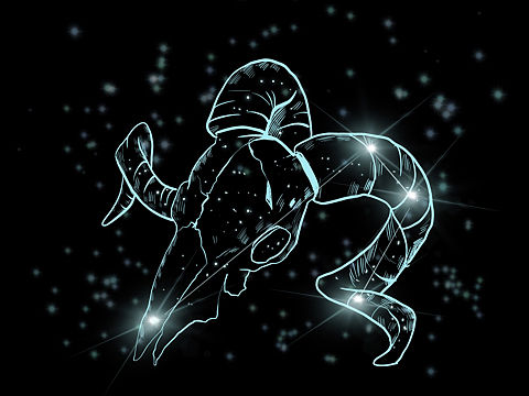 十二星座系列插画（个人主页-ZNTE4NDA0NjA=） - 创作习作 - 站酷设计师鹿ear原创素材 - 站酷ZCOOL