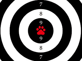 靶心（个人主页-ZNDIzNjIyNA==） - 海报 - 站酷设计师xuyedong原创素材 - 站酷ZCOOL