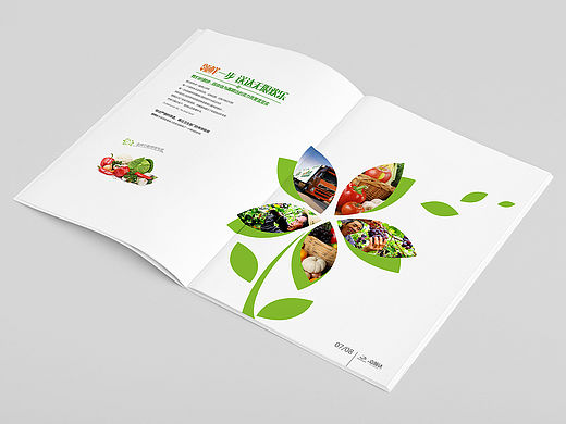 深圳嘉顺达食品配送画册