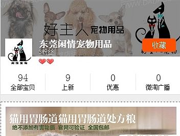 宠物手机端