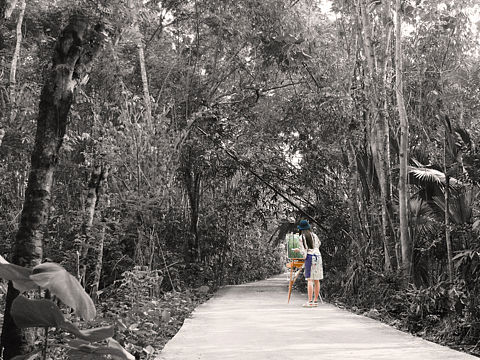 单凌色