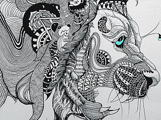 黑白画——狮子