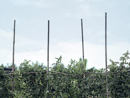 立春（个人主页-ZMjAwNzcwNTI=） - 风光摄影 - 站酷设计师HG设计者原创素材 - 站酷ZCOOL