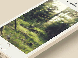 Motion Graphic 動態(tài)設計練習（個人主頁-ZNTEwNDAyNA==） - APP界面 - 站酷設計師ConstanceX原創(chuàng)素材 - 站酷ZCOOL