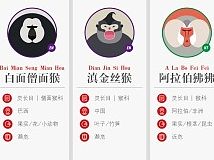 扁平化动物信息展板（个人主页-ZMTI0NDM0ODg=） - 商业插画 - 站酷设计师七佳设原创素材 - 站酷ZCOOL