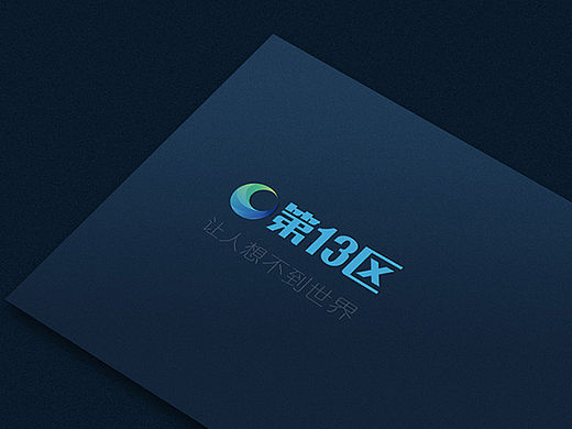 第13区 品牌Logo  vi 设计 企业网站   娱乐媒体网站