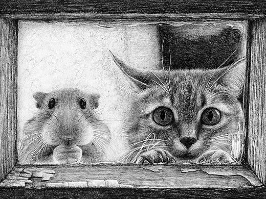 OY钢笔画：猫和仓鼠