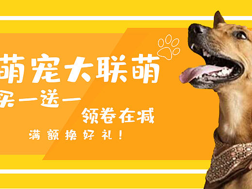乔坤 宠物banner（个人主页-ZNDk2NjA2NjQ=） - 其他UI - 站酷设计师乔坤AL原创素材 - 站酷ZCOOL