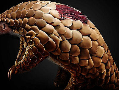 保护动物公益海报