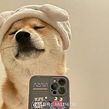 是邹不是周的头像