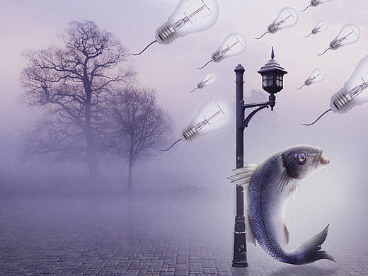 鱼（练习）（个人主页-ZMTgyOTA3OTI=） - 品牌 - 站酷设计师摸鱼先锋川川子原创素材 - 站酷ZCOOL