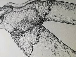 20180729速写素描美女半身像