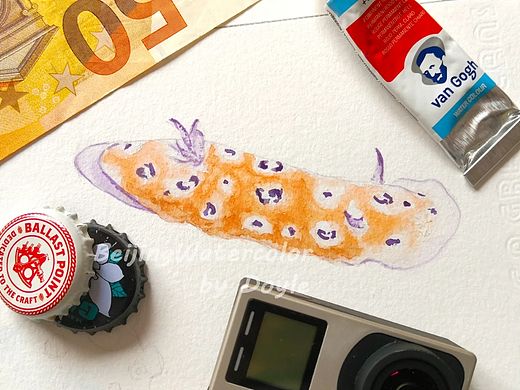 【鱼类识别】 Leopard Nudibranch