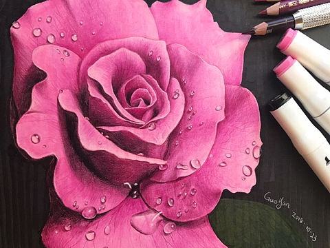 彩铅玫瑰