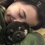 by1311的头像