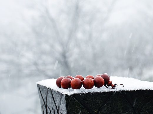 南国（个人主页-ZMTQ4MzY4NTI=） - 风光摄影 - 站酷设计师桔子供销社原创素材 - 站酷ZCOOL