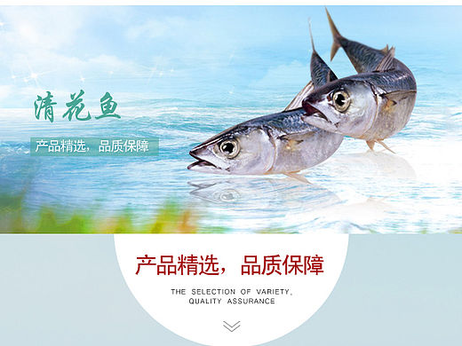 手机app鱼详情页